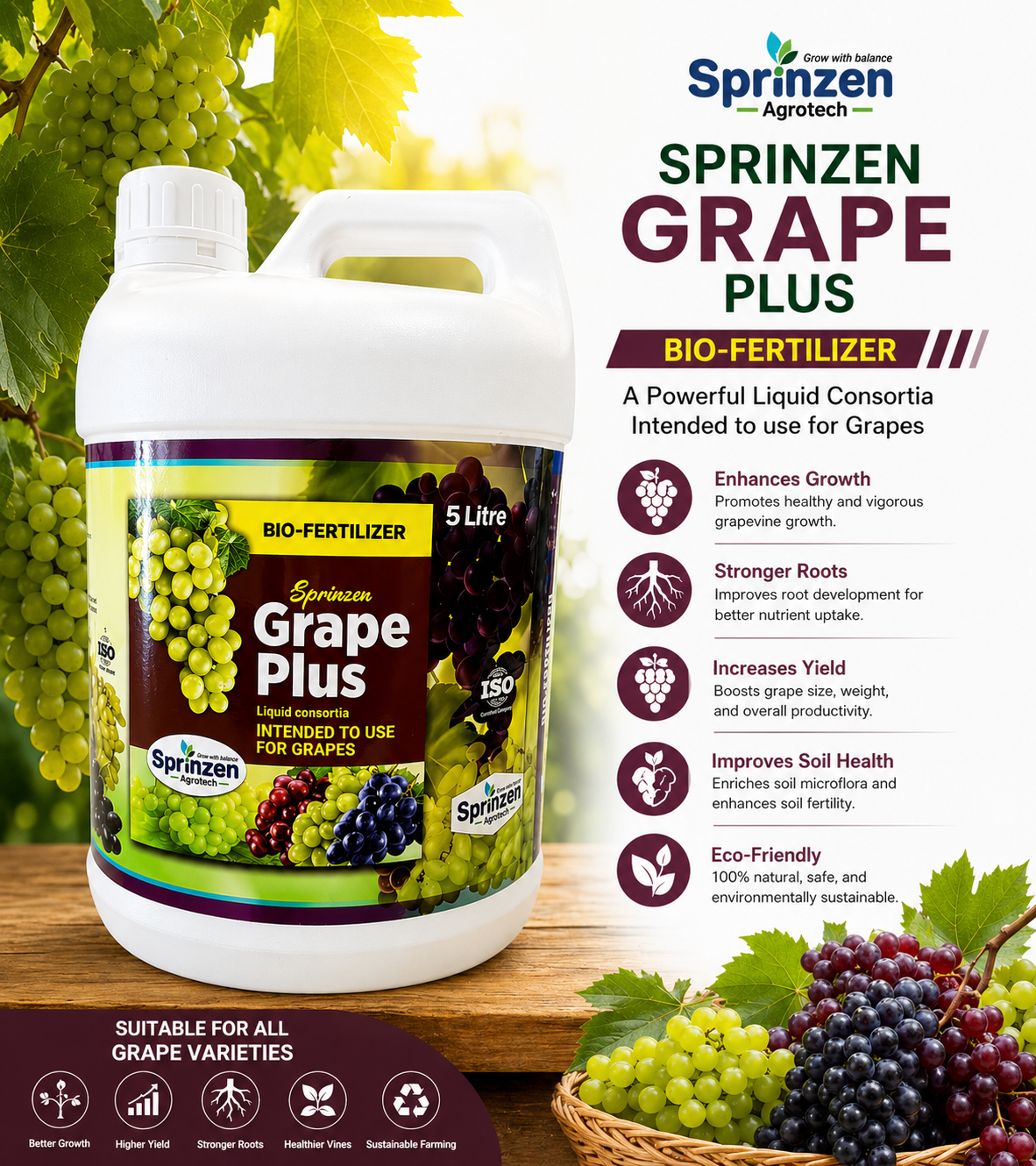 Sprinzen Grape Plus